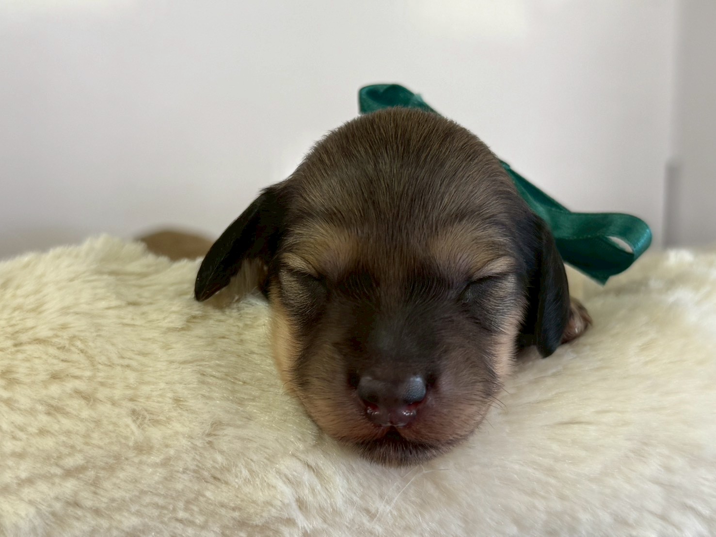 赤ちゃん写真1-1