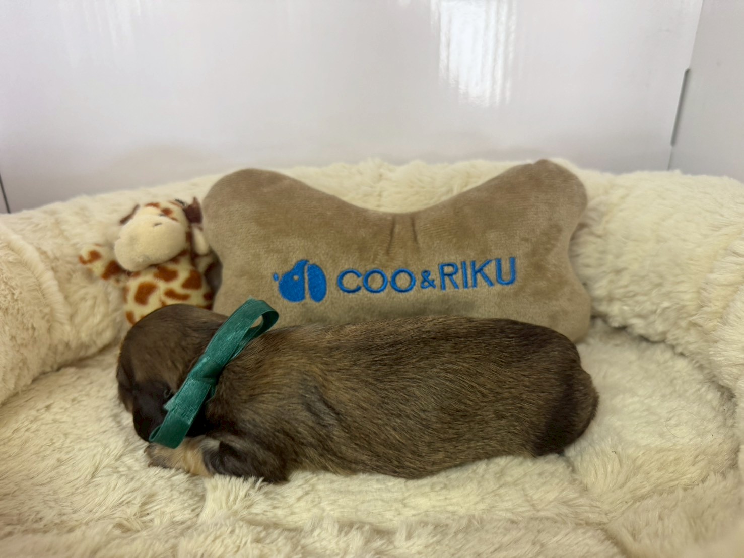 赤ちゃん写真1-2