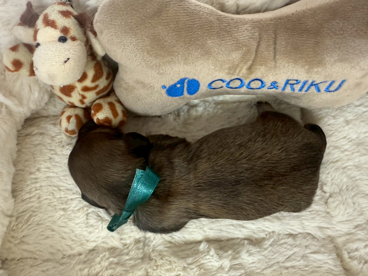 赤ちゃん写真1-3