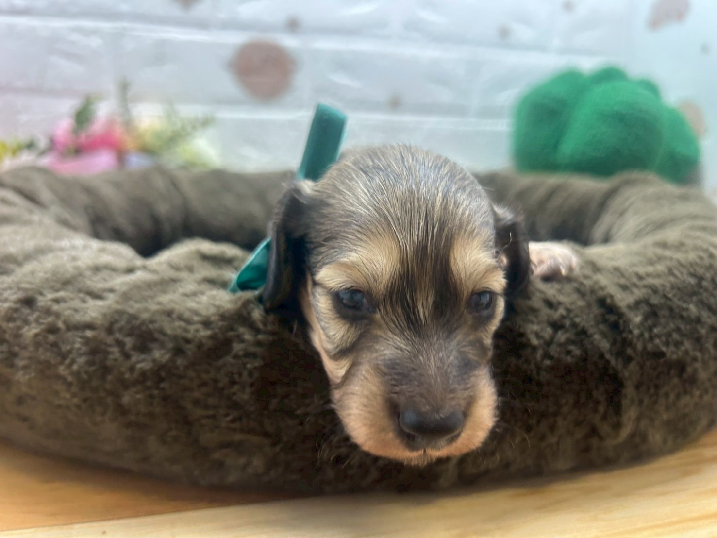 赤ちゃん写真2-1