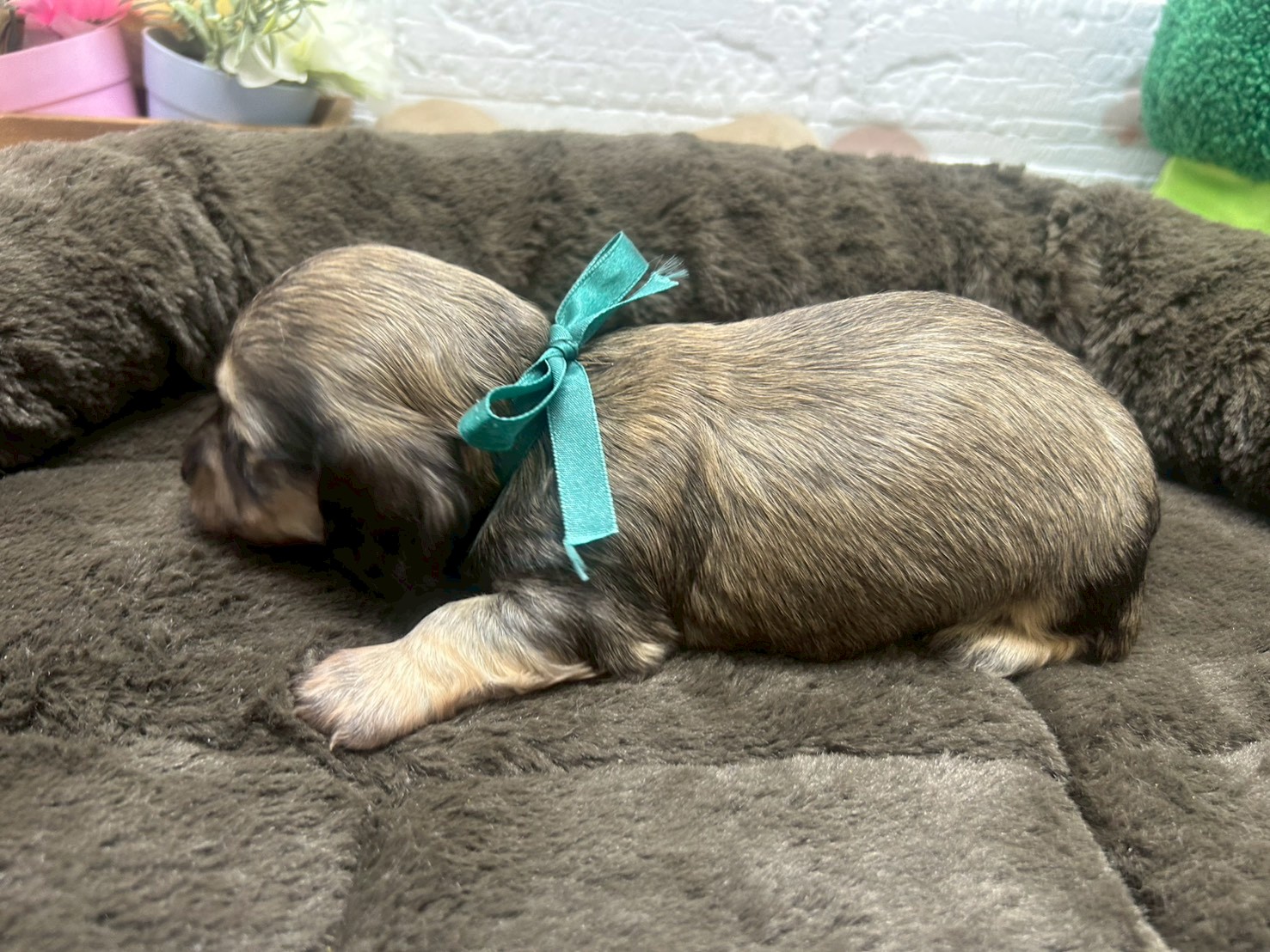 赤ちゃん写真2-2