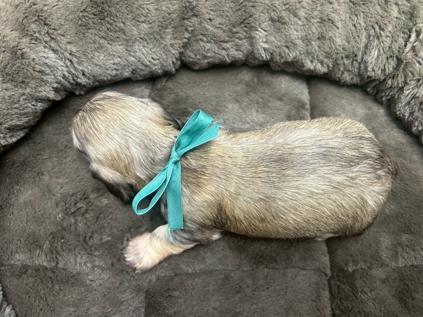 赤ちゃん写真2-3