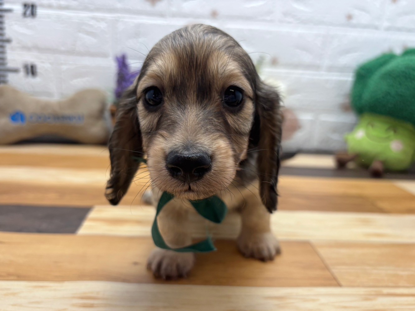 赤ちゃん写真3-1