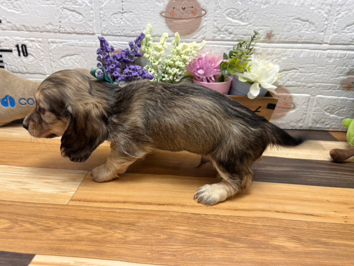 赤ちゃん写真3-2