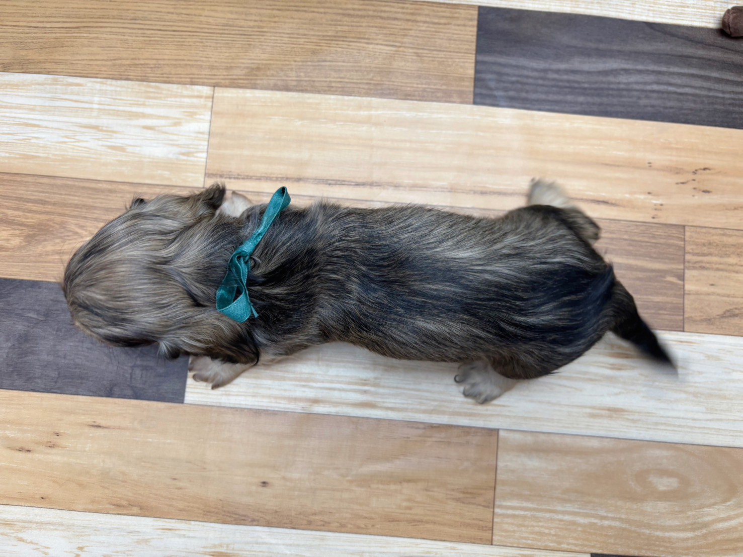 赤ちゃん写真3-3