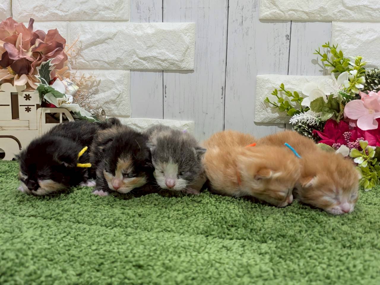 赤ちゃん写真1-3