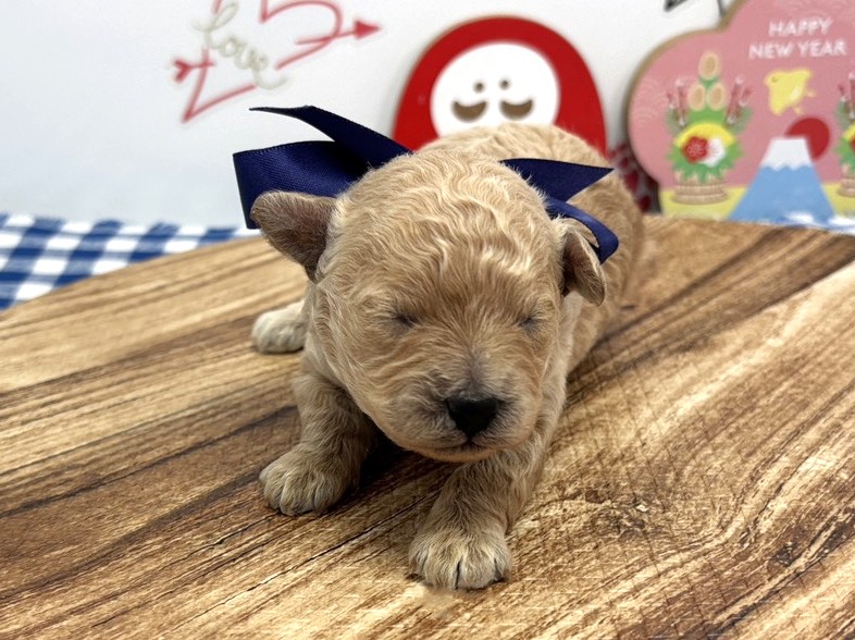 赤ちゃん写真1-1