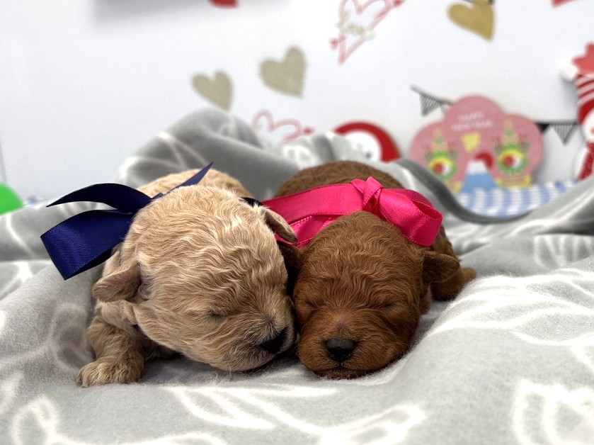 赤ちゃん写真1-3