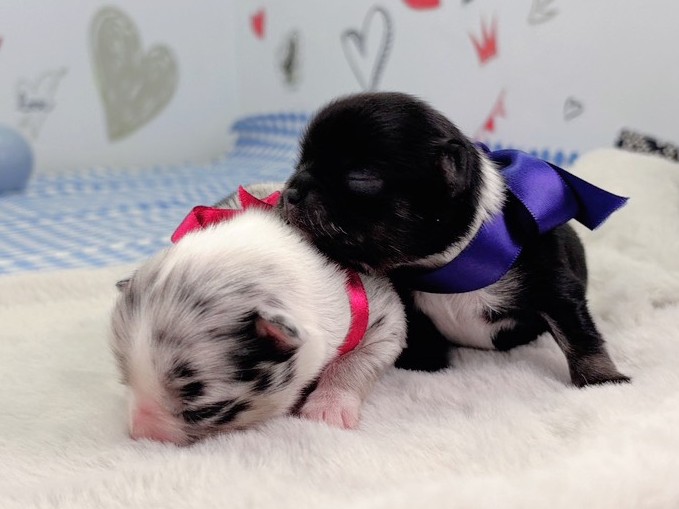 赤ちゃん写真1-3