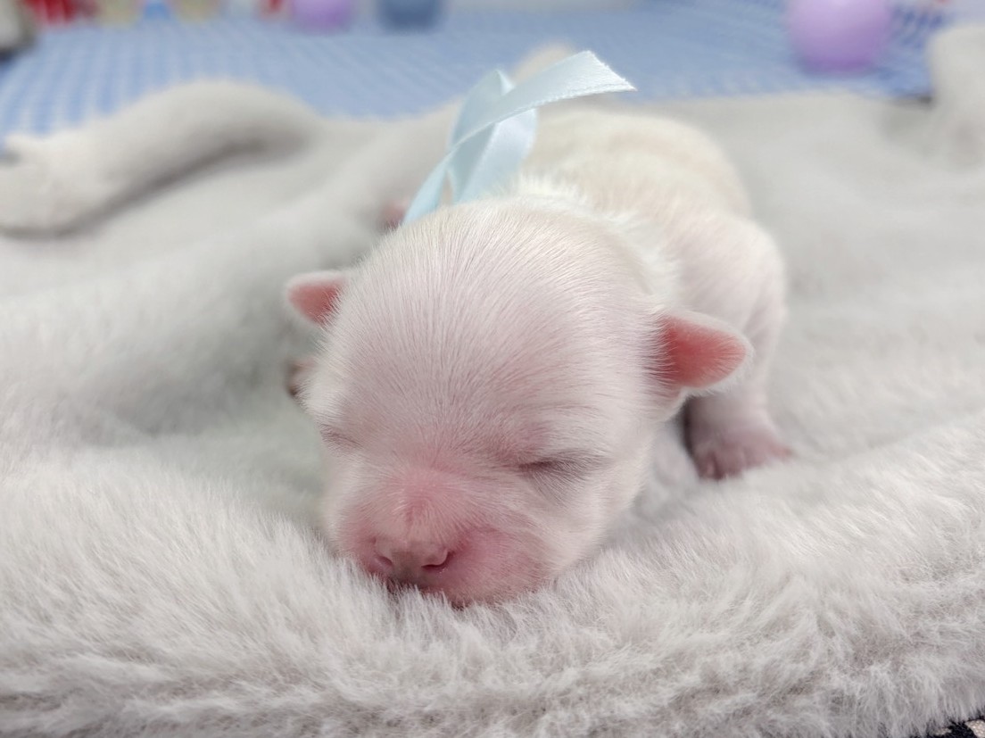 赤ちゃん写真1-1