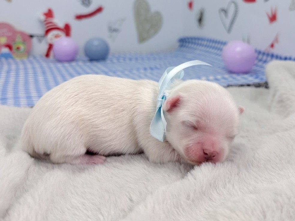 赤ちゃん写真1-2