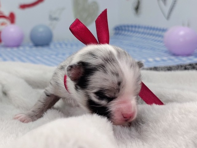 赤ちゃん写真1-1