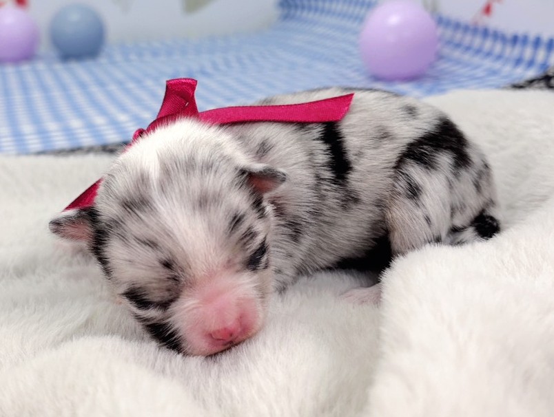 赤ちゃん写真1-2