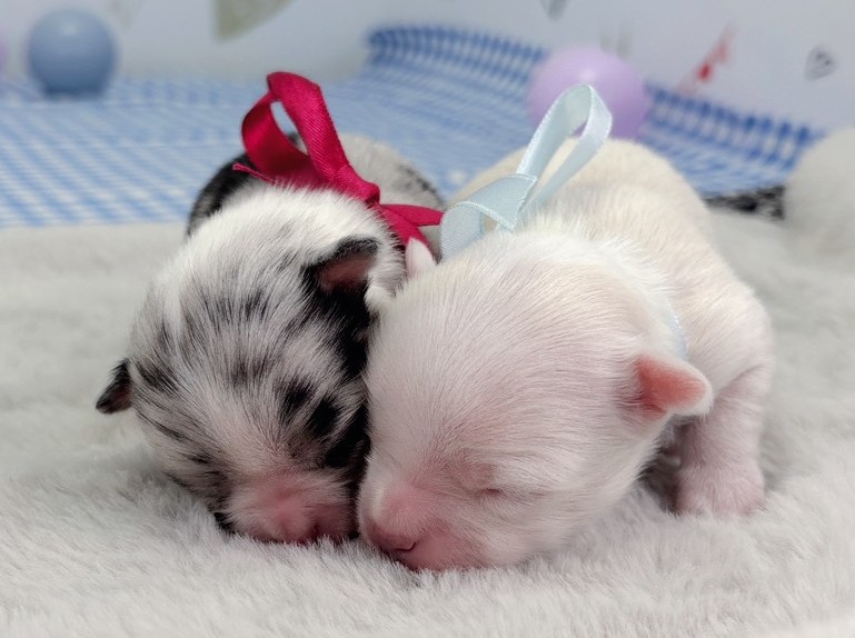 赤ちゃん写真1-3