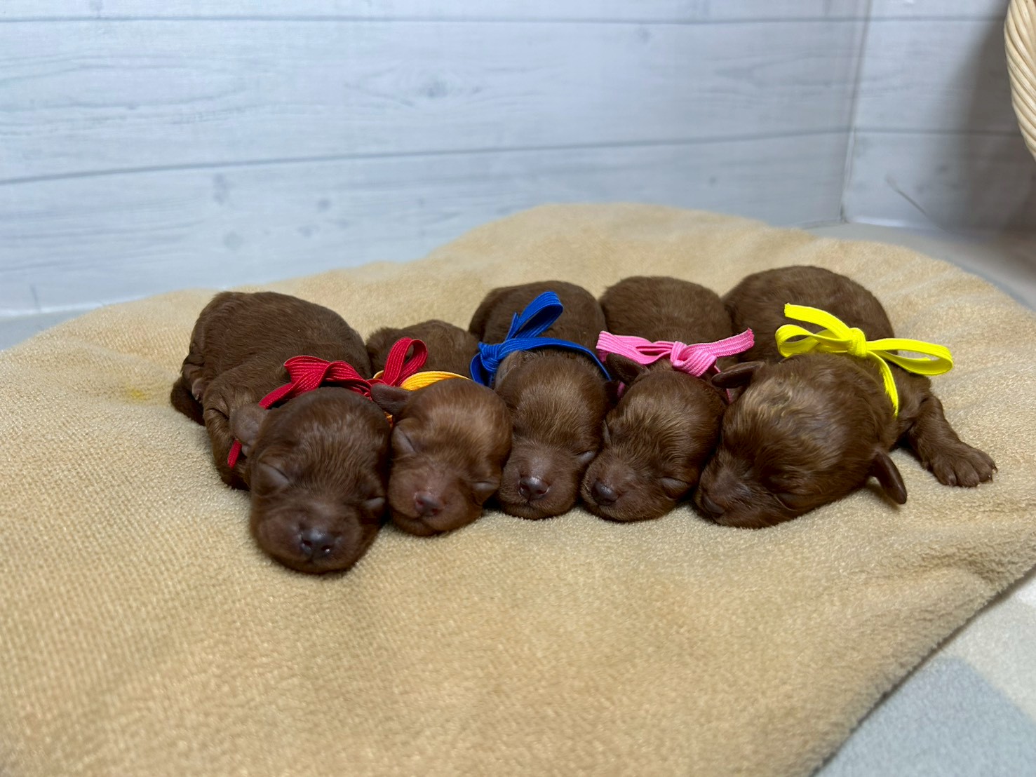 赤ちゃん写真1-3