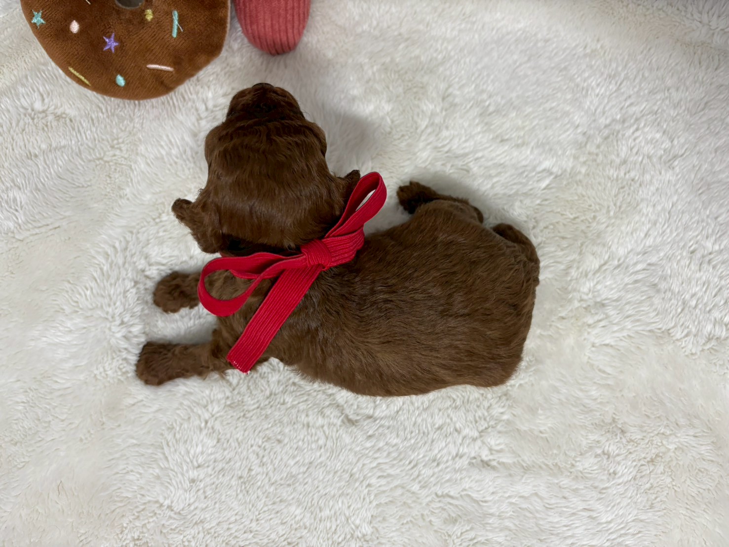 赤ちゃん写真2-3