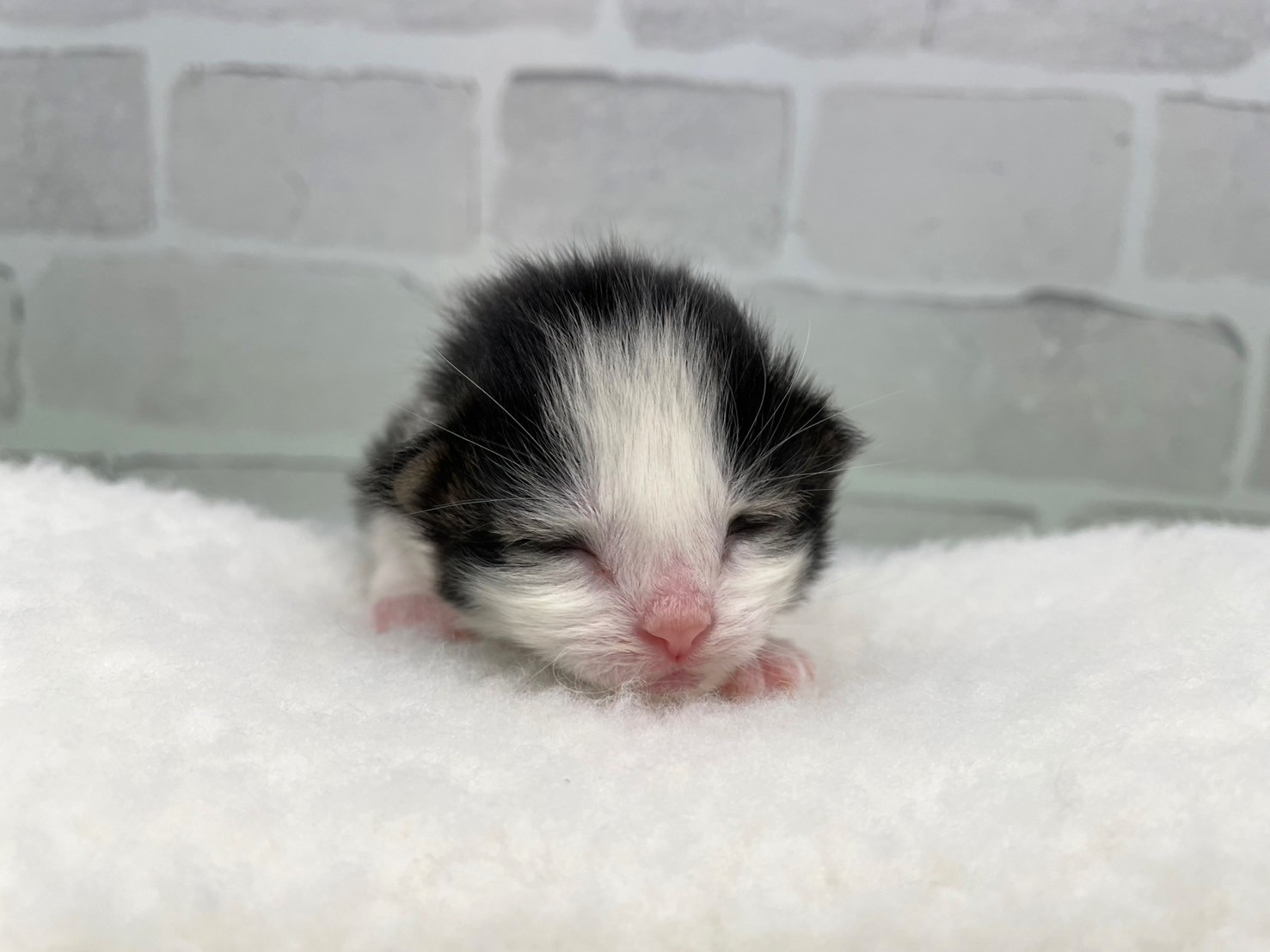 赤ちゃん写真1-1