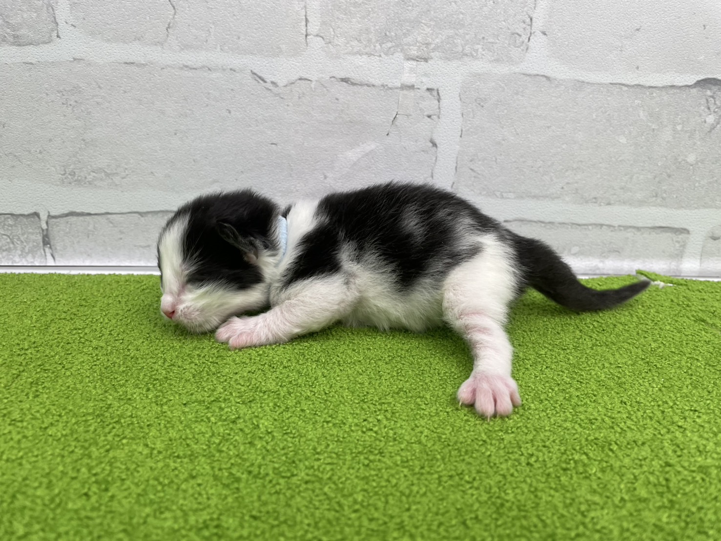 赤ちゃん写真1-2