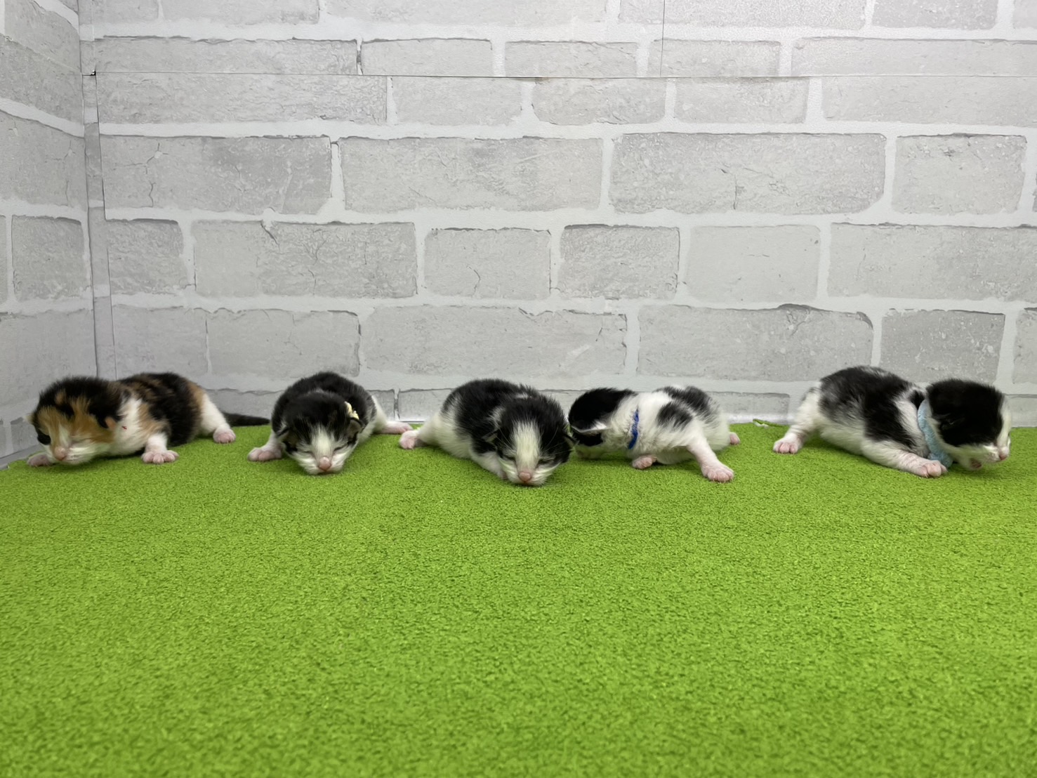 赤ちゃん写真1-3