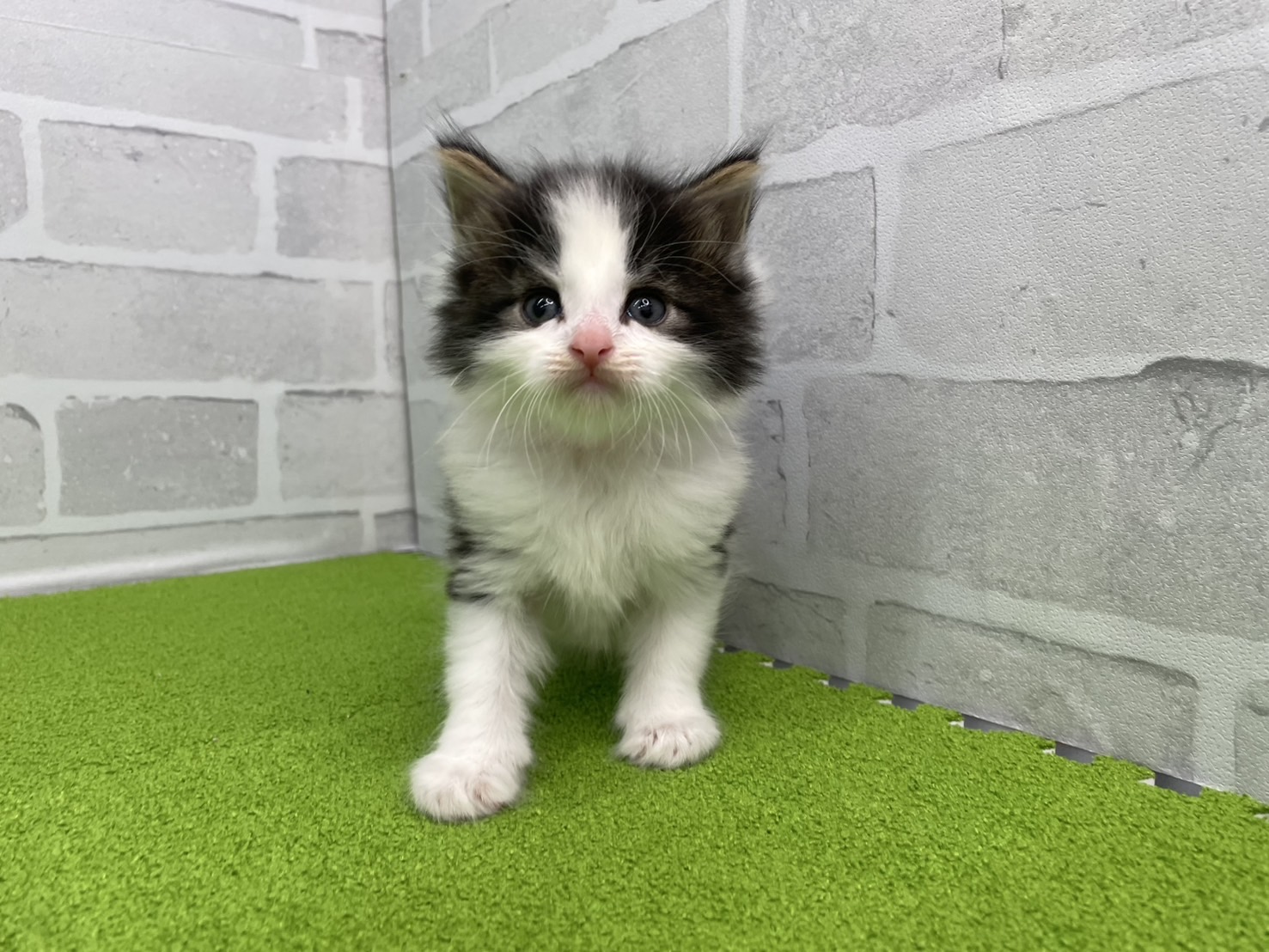 赤ちゃん写真2-1