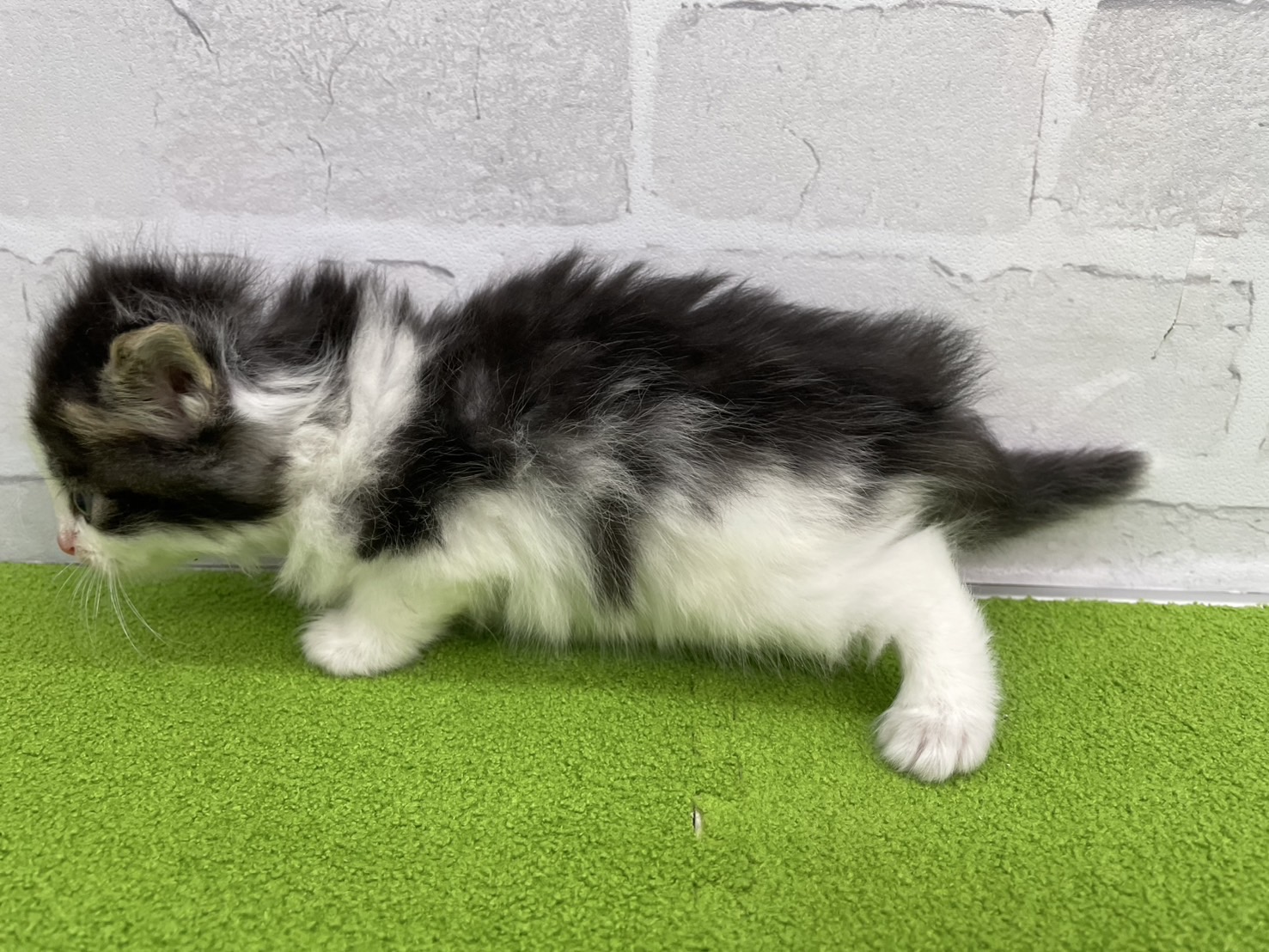 赤ちゃん写真2-2