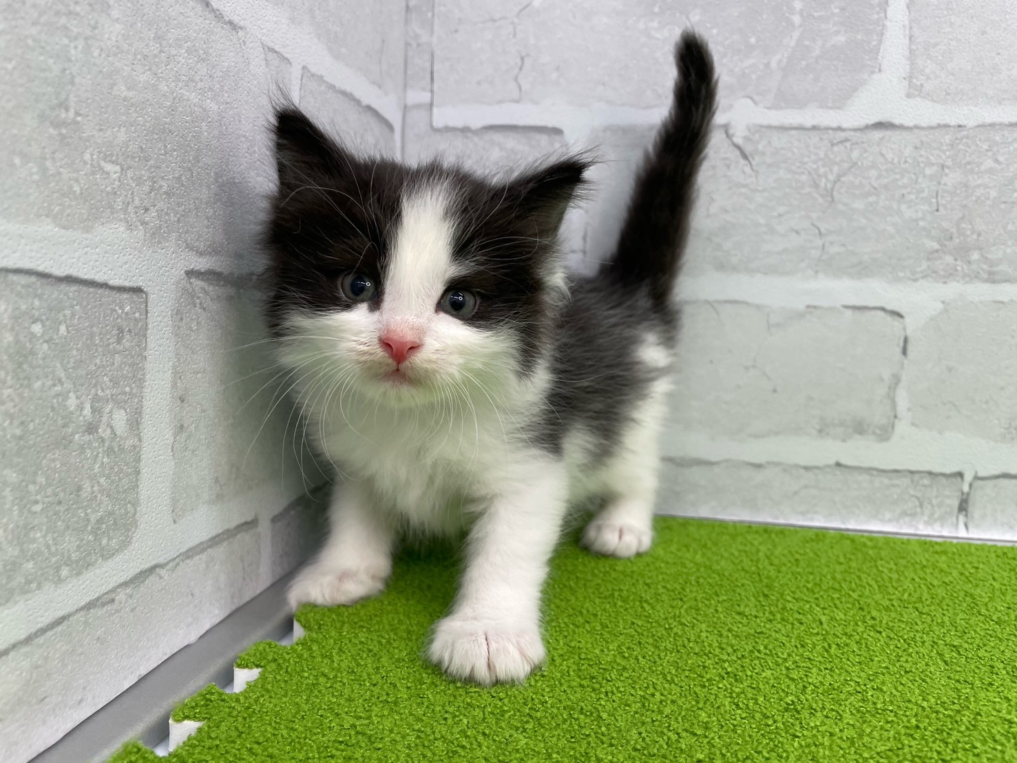 赤ちゃん写真2-1