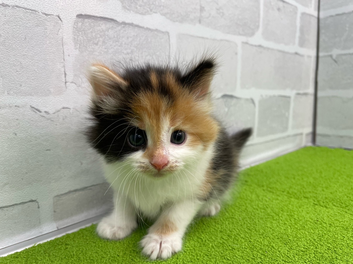 赤ちゃん写真2-1