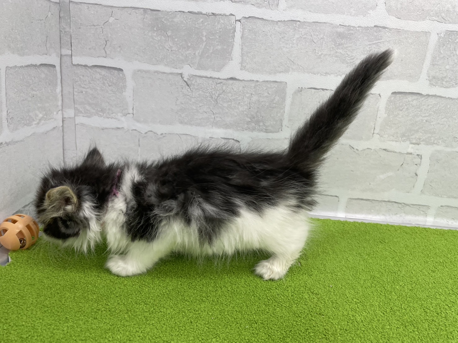 赤ちゃん写真3-2