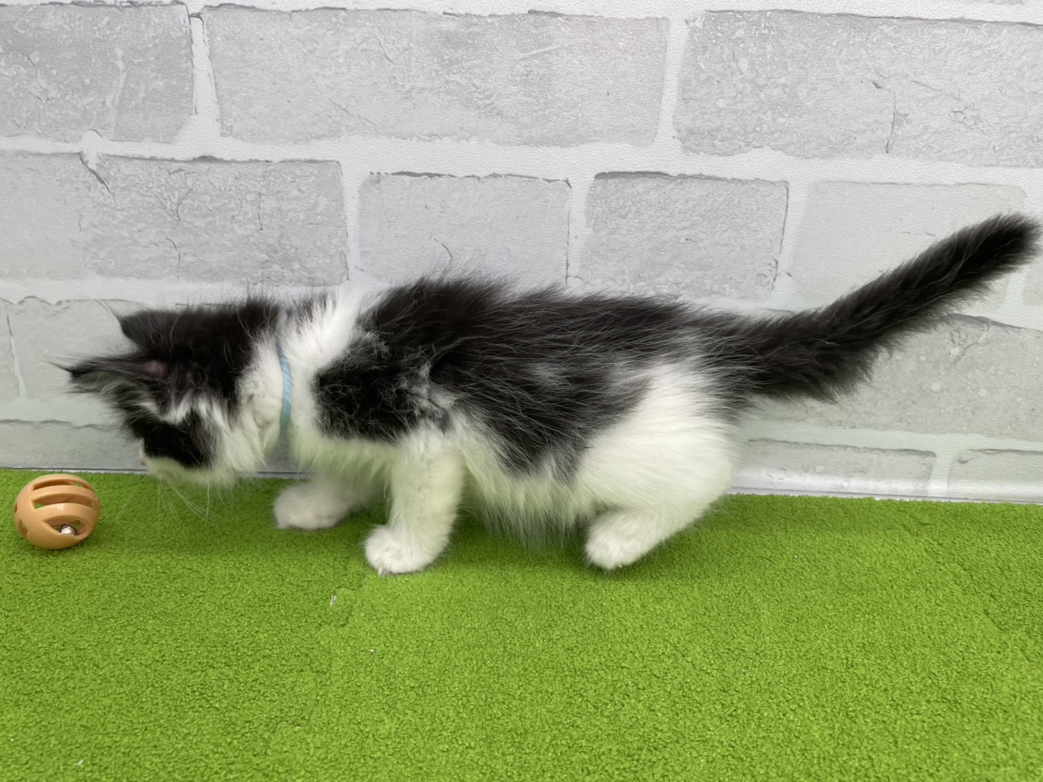 赤ちゃん写真3-2