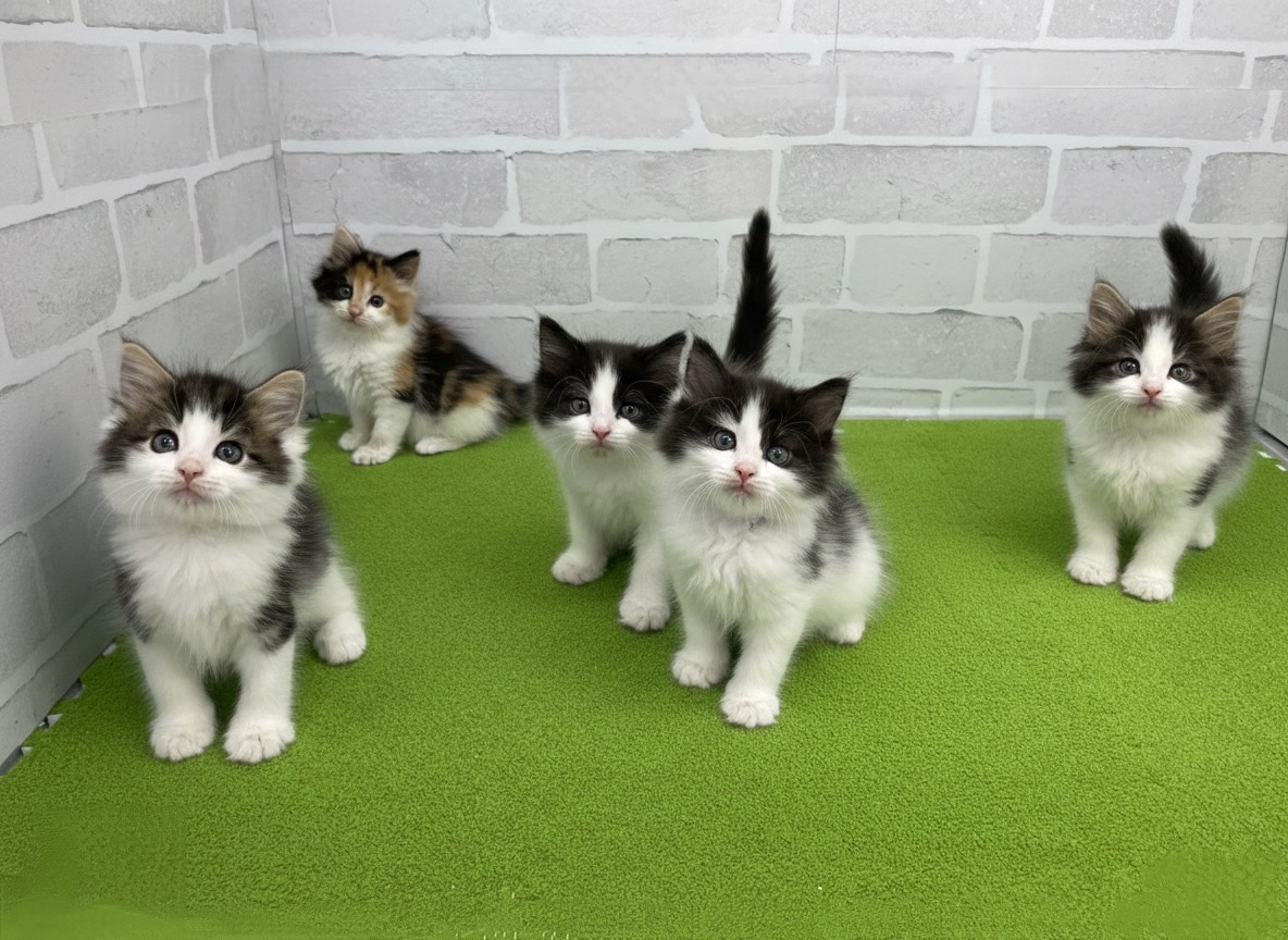 赤ちゃん写真3-3