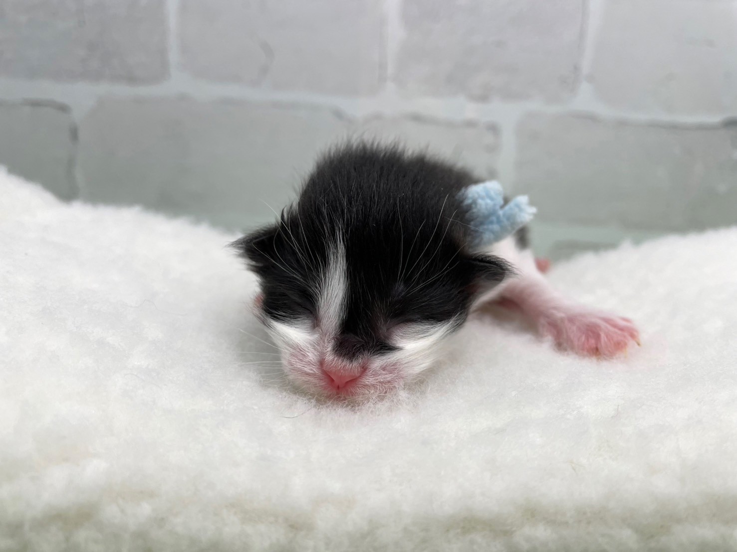 赤ちゃん写真1-1