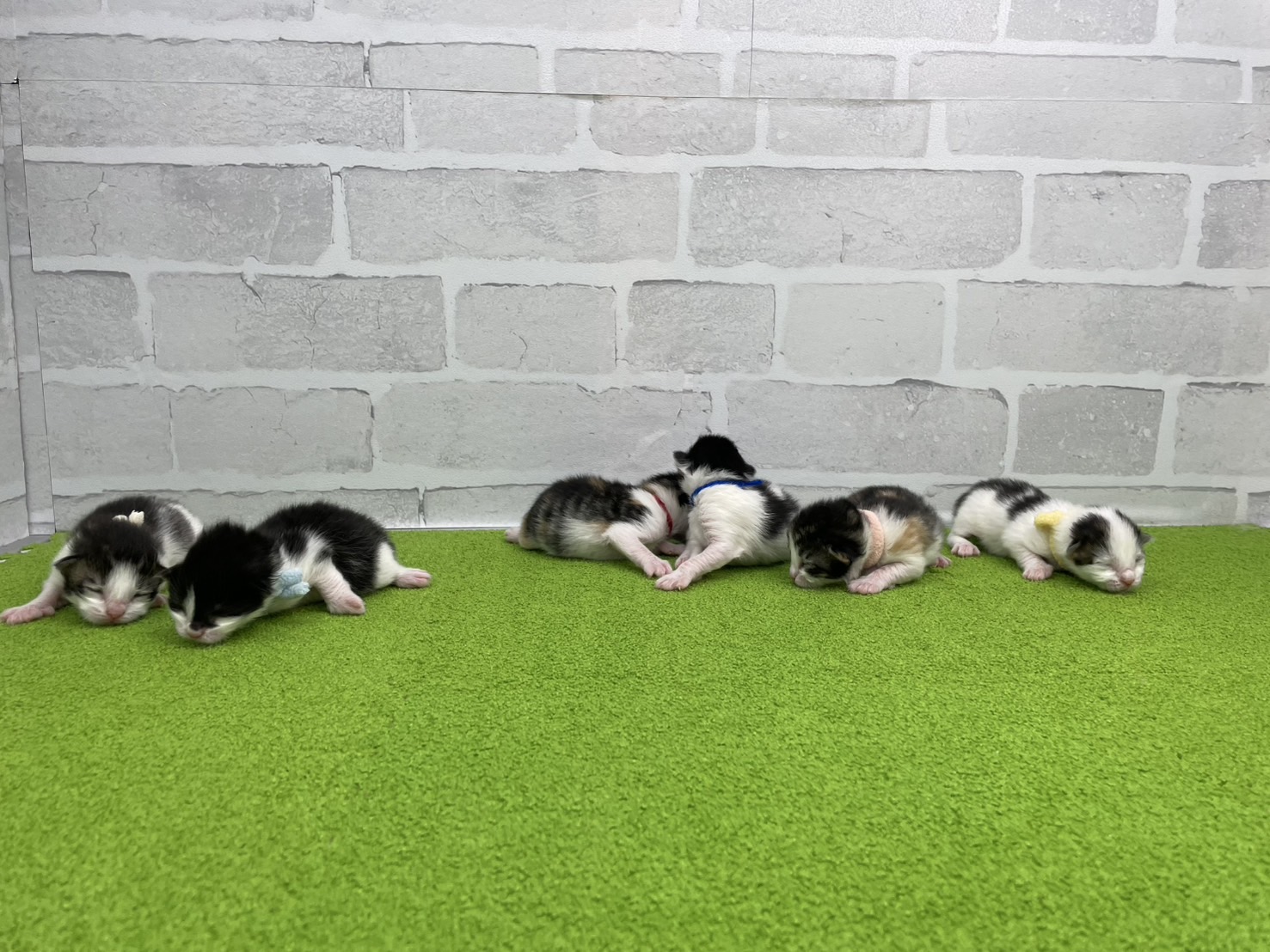 赤ちゃん写真1-3