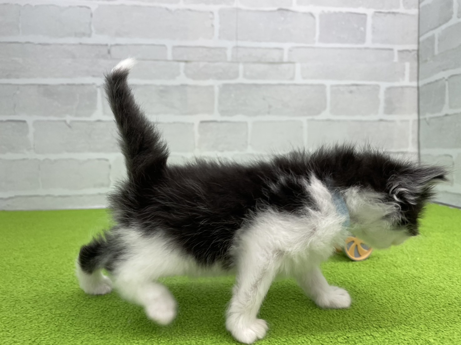 赤ちゃん写真2-2