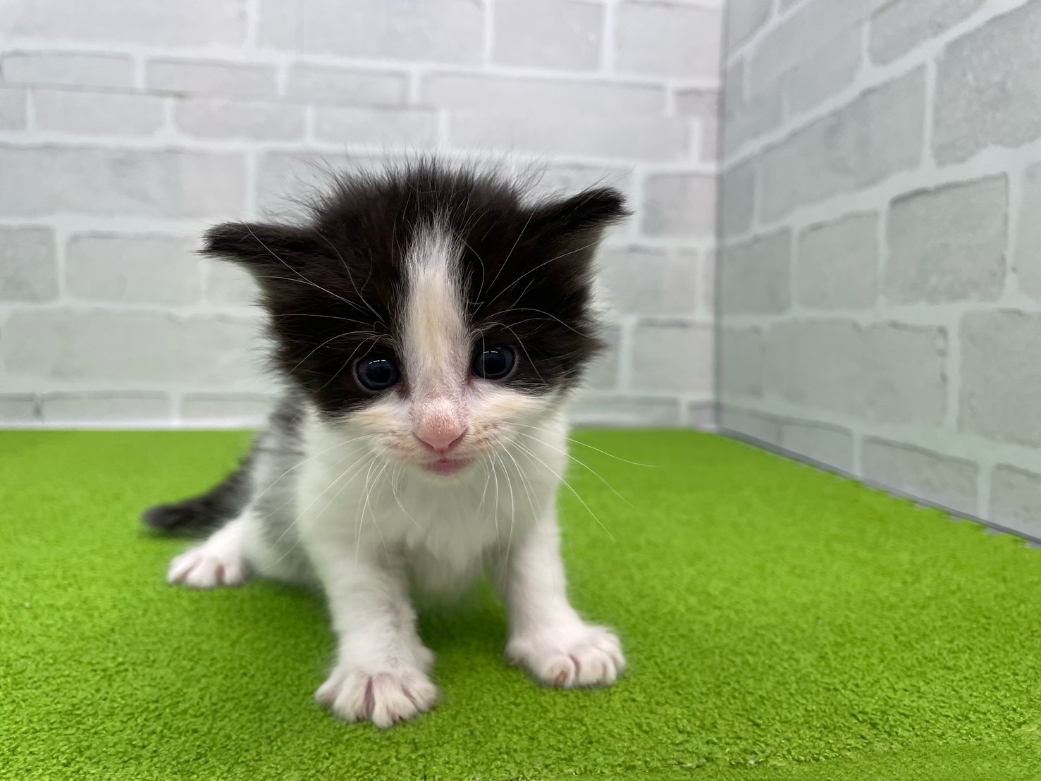 赤ちゃん写真2-1