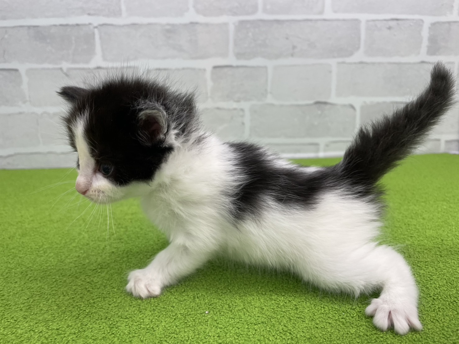 赤ちゃん写真2-2