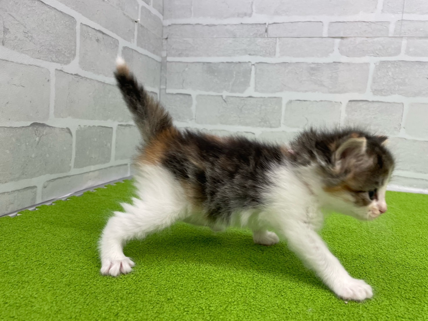 赤ちゃん写真2-2