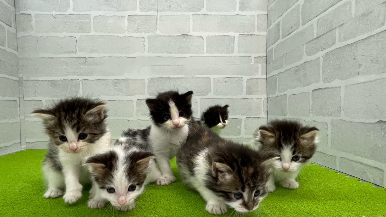 赤ちゃん写真2-3