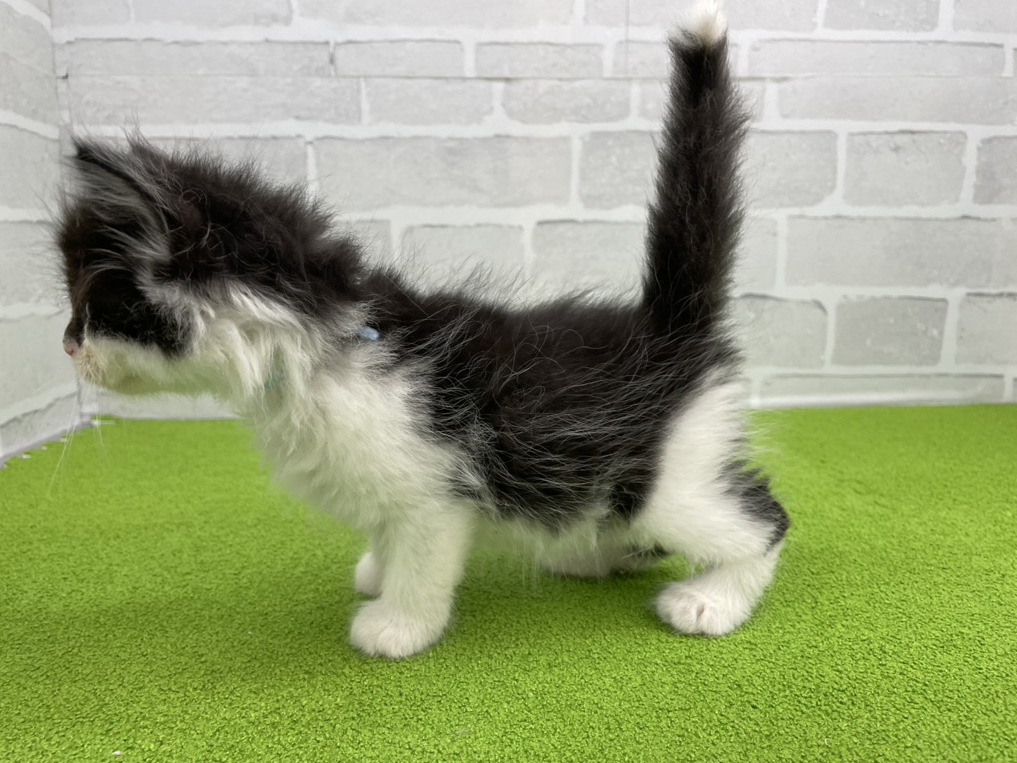 赤ちゃん写真3-2