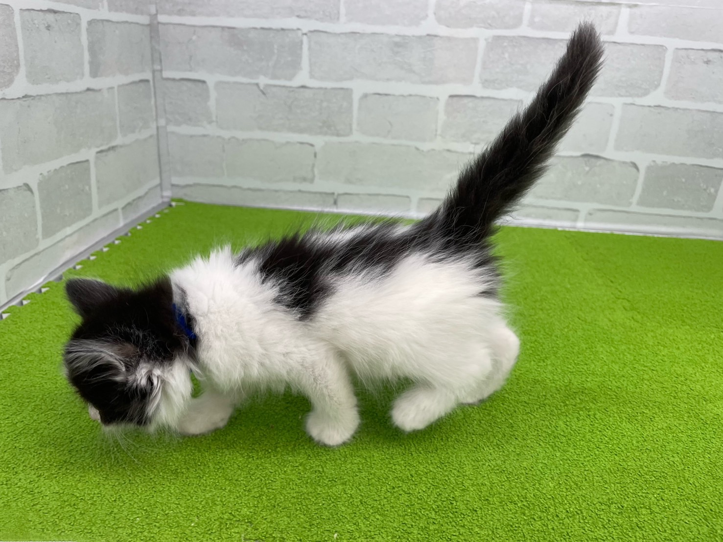 赤ちゃん写真3-2