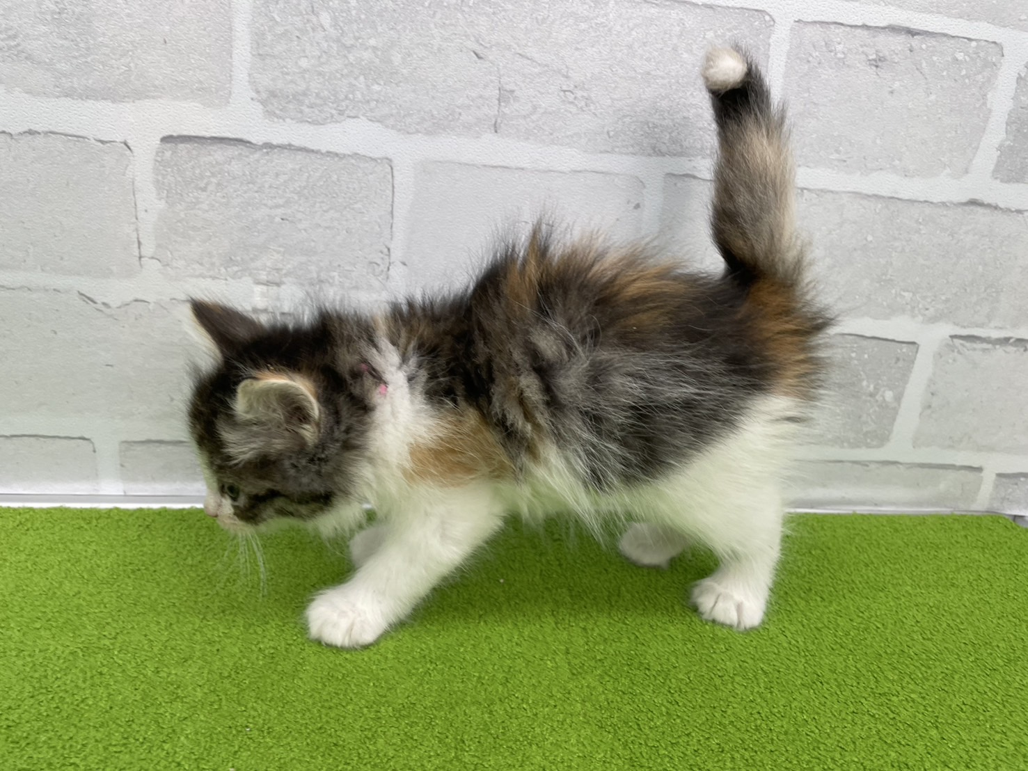 赤ちゃん写真3-2