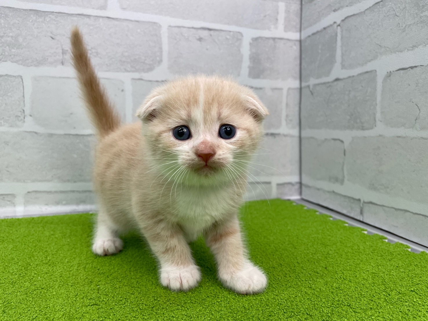 赤ちゃん写真2-1
