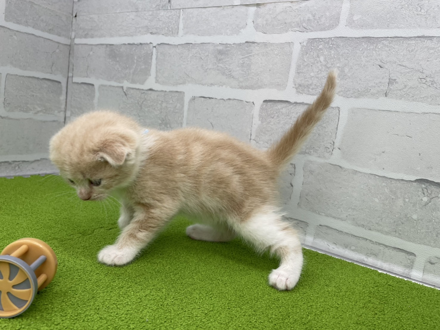 赤ちゃん写真2-2