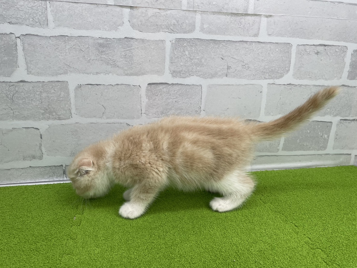 赤ちゃん写真3-2