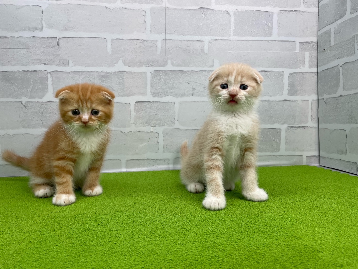 赤ちゃん写真3-3