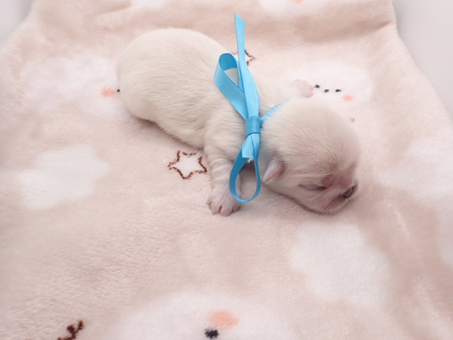 赤ちゃん写真1-3