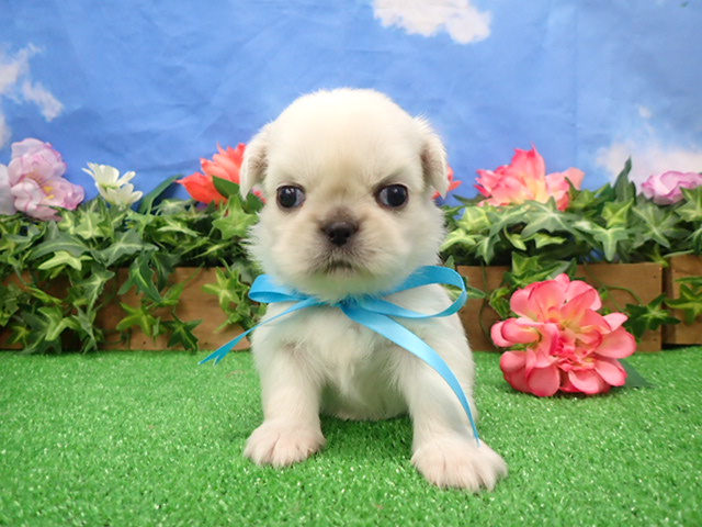 赤ちゃん写真2-1