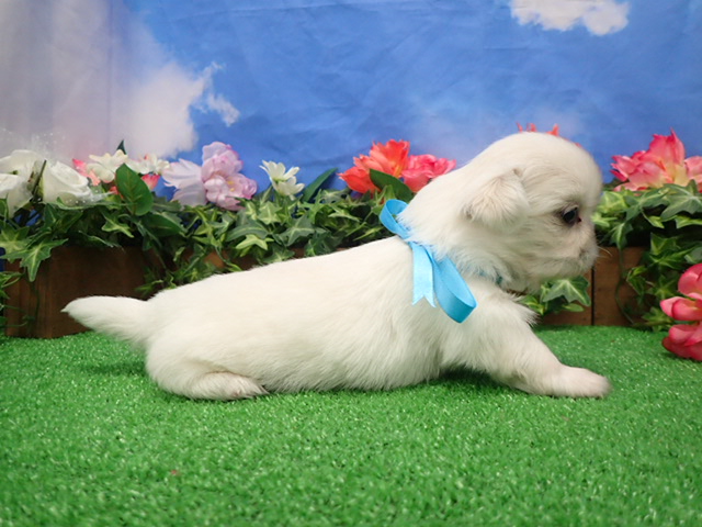 赤ちゃん写真2-2