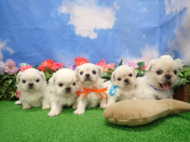 赤ちゃん写真2-3