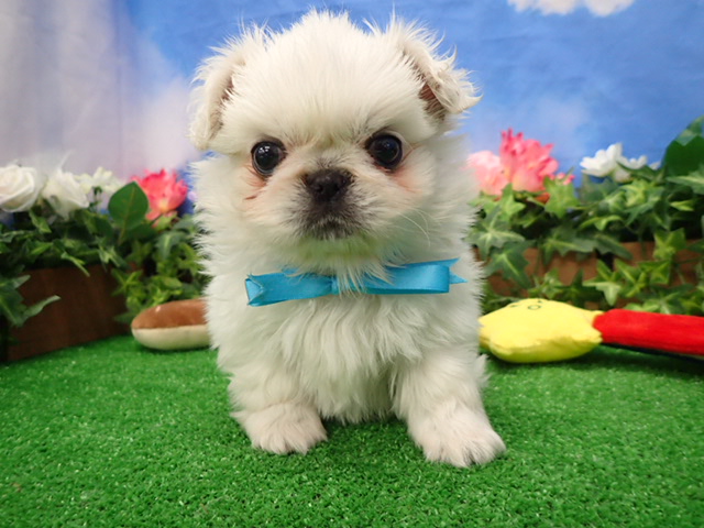 赤ちゃん写真3-1