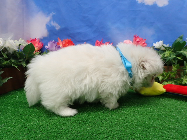 赤ちゃん写真3-2